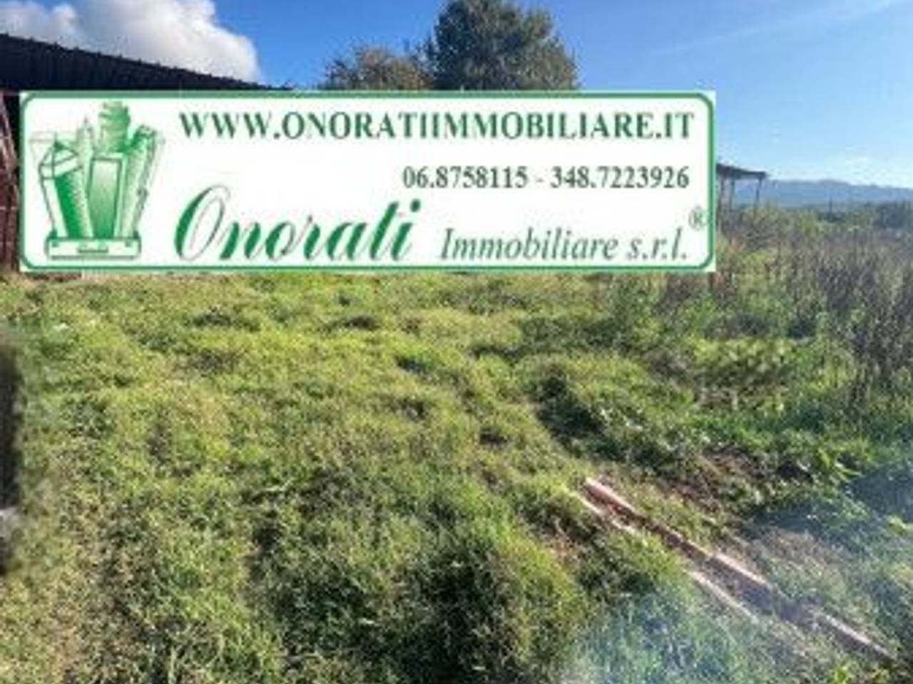 immagine annuncio 3 di 6