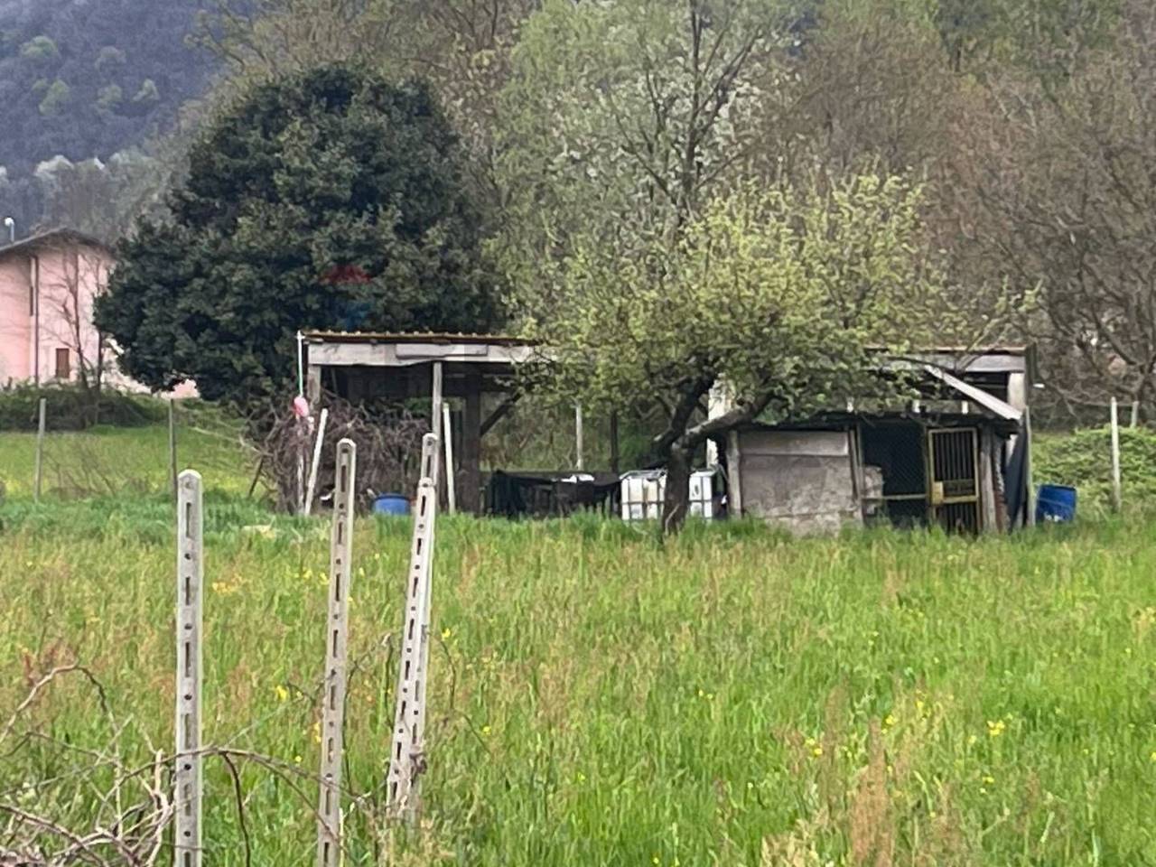 immagine annuncio 1 di 12