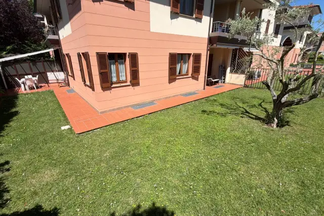 insertion image