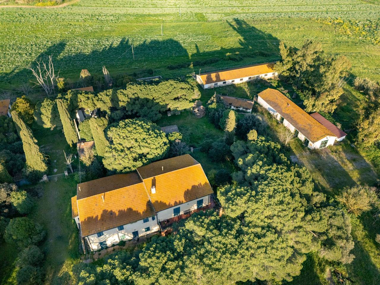 immagine annuncio 10 di 13