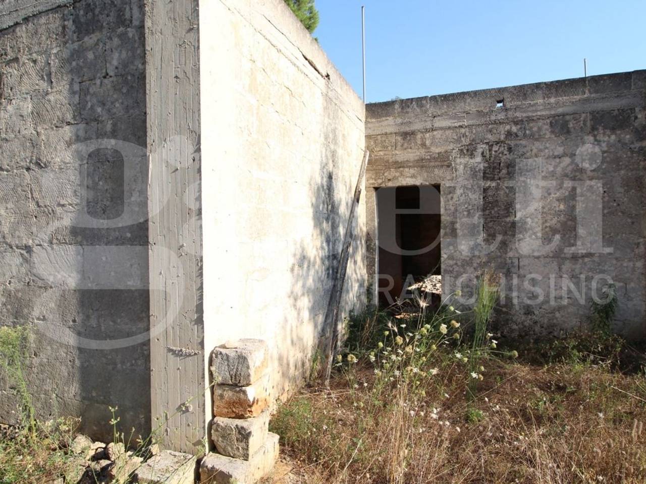 immagine annuncio 3 di 8