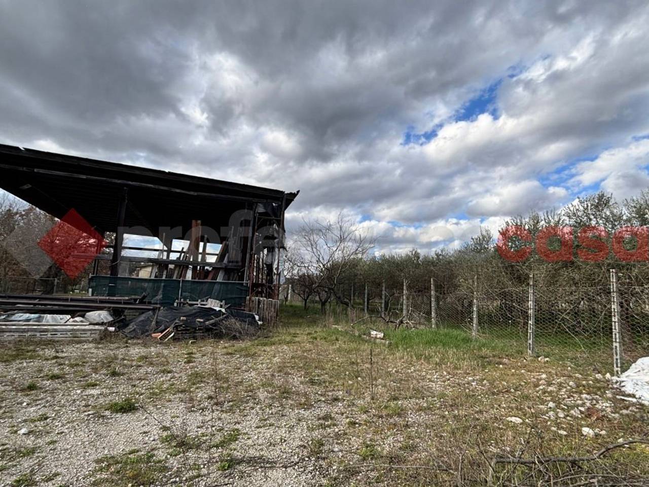 immagine annuncio 14 di 15