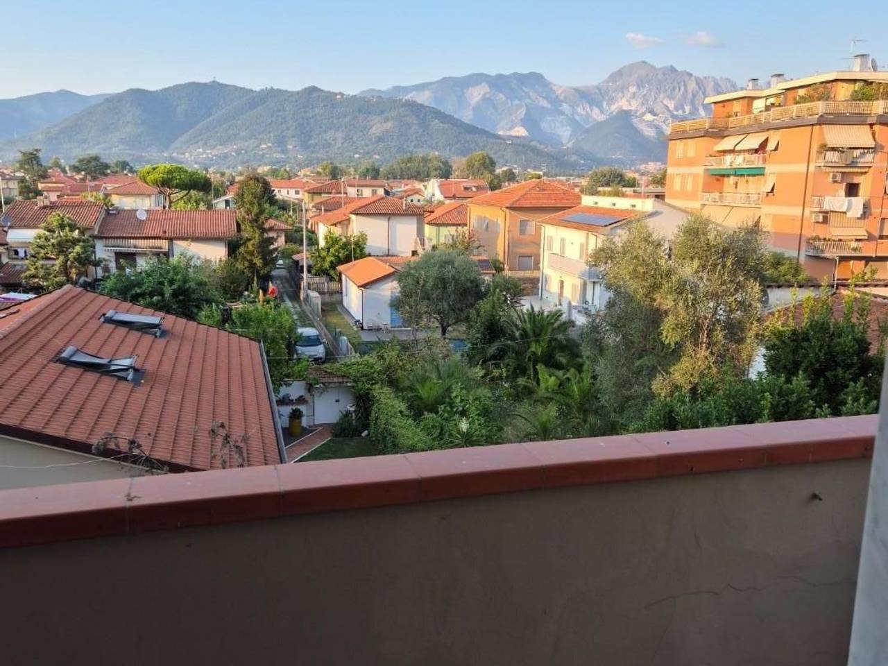 immagine annuncio 8 di 14