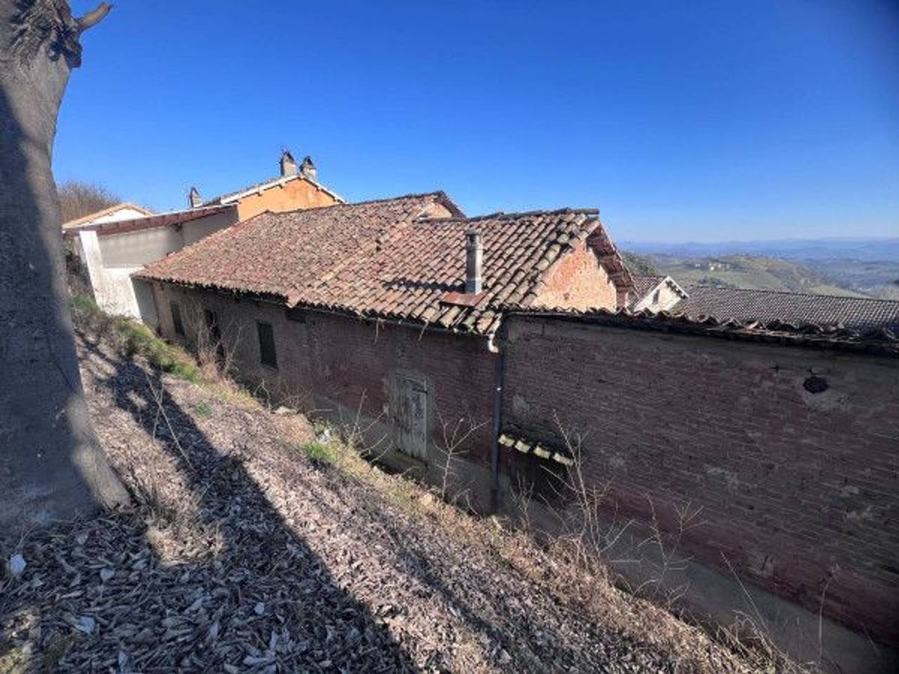 immagine annuncio 12 di 14