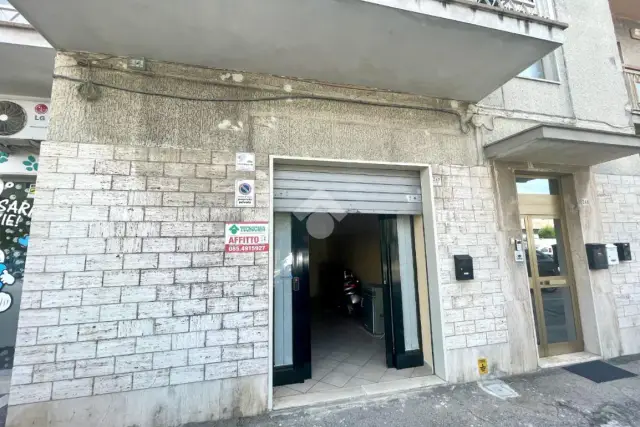 insertion image