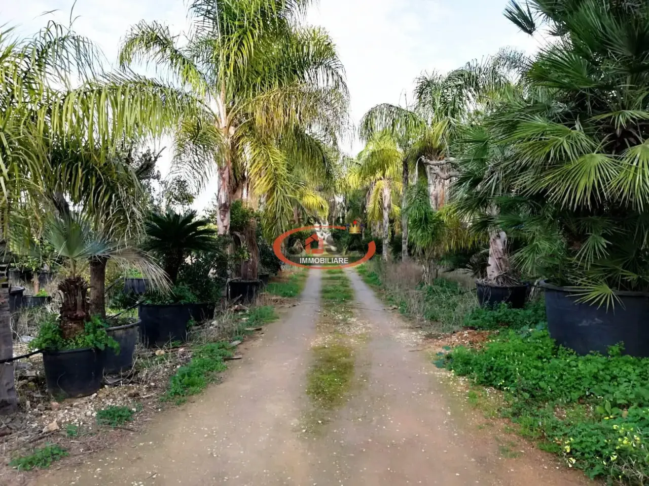 Azienda agricola in Marsala (Santo Padre), Marsala, {3} - Foto 2