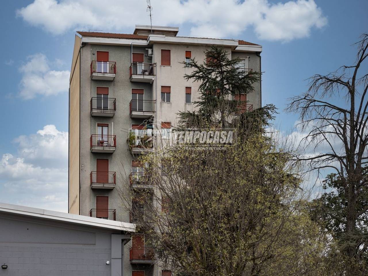 immagine annuncio 9 di 13