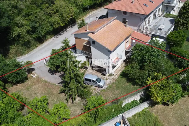 insertion image