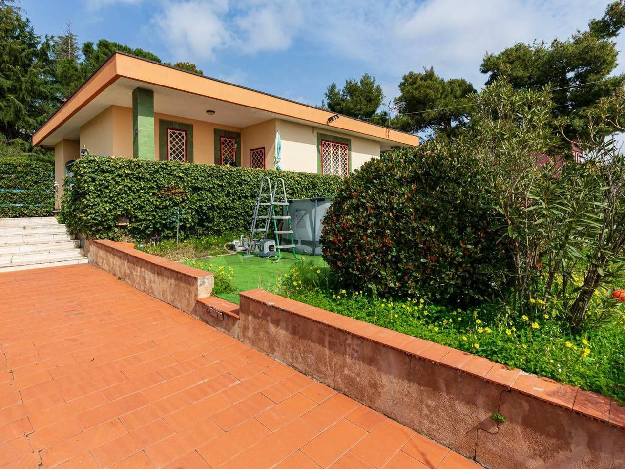 immagine annuncio 1 di 15