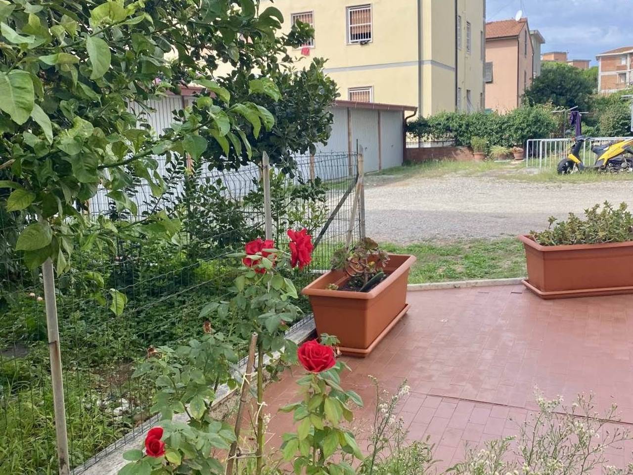 immagine annuncio 7 di 8