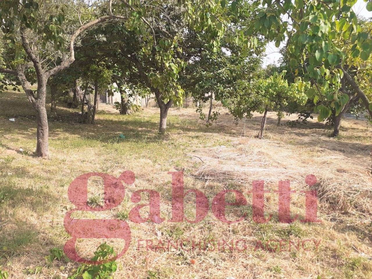 immagine annuncio 4 di 6