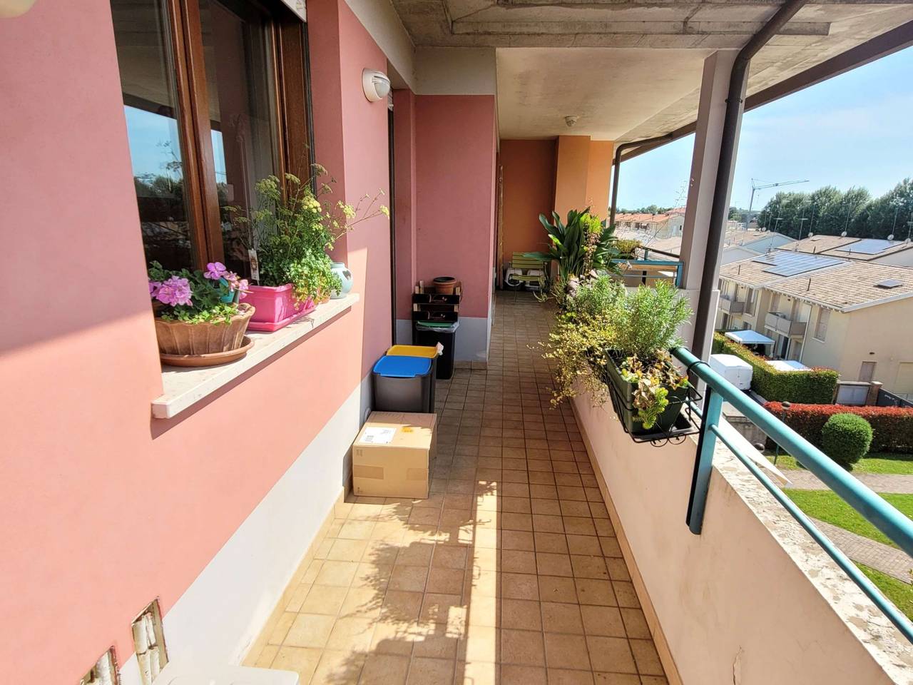 immagine annuncio 12 di 15