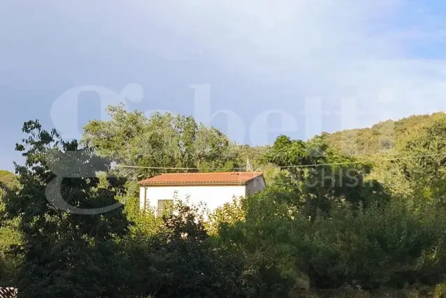 Detached house in {3}, Località Banchella - Photo 1