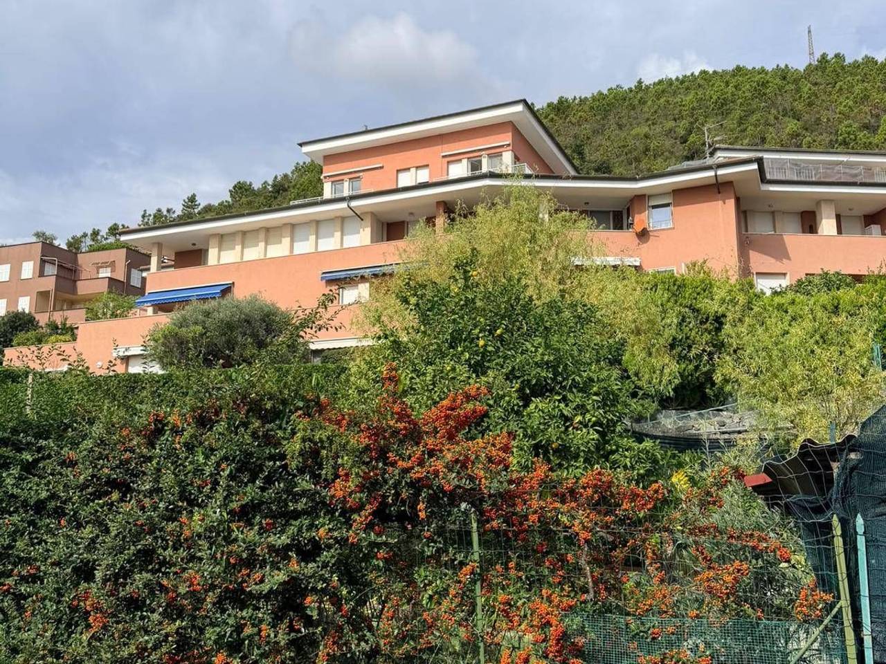 immagine annuncio 7 di 10
