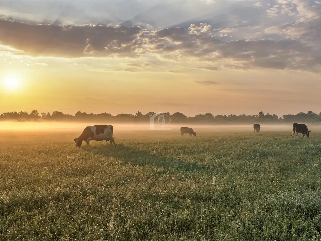 Azienda agricola in , Fiorenzuola D'Arda, {3} - Foto 1