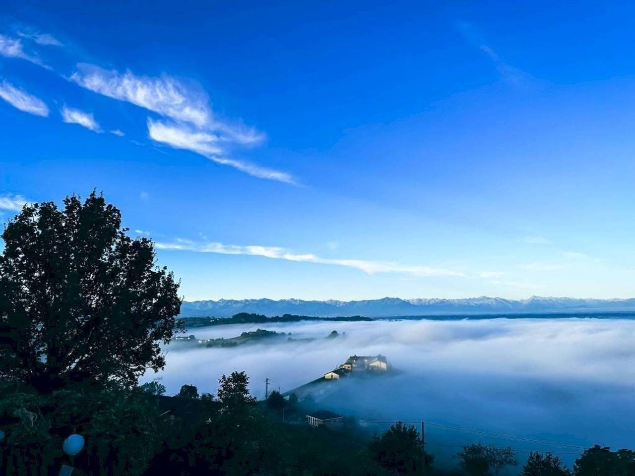 immagine annuncio 4 di 14