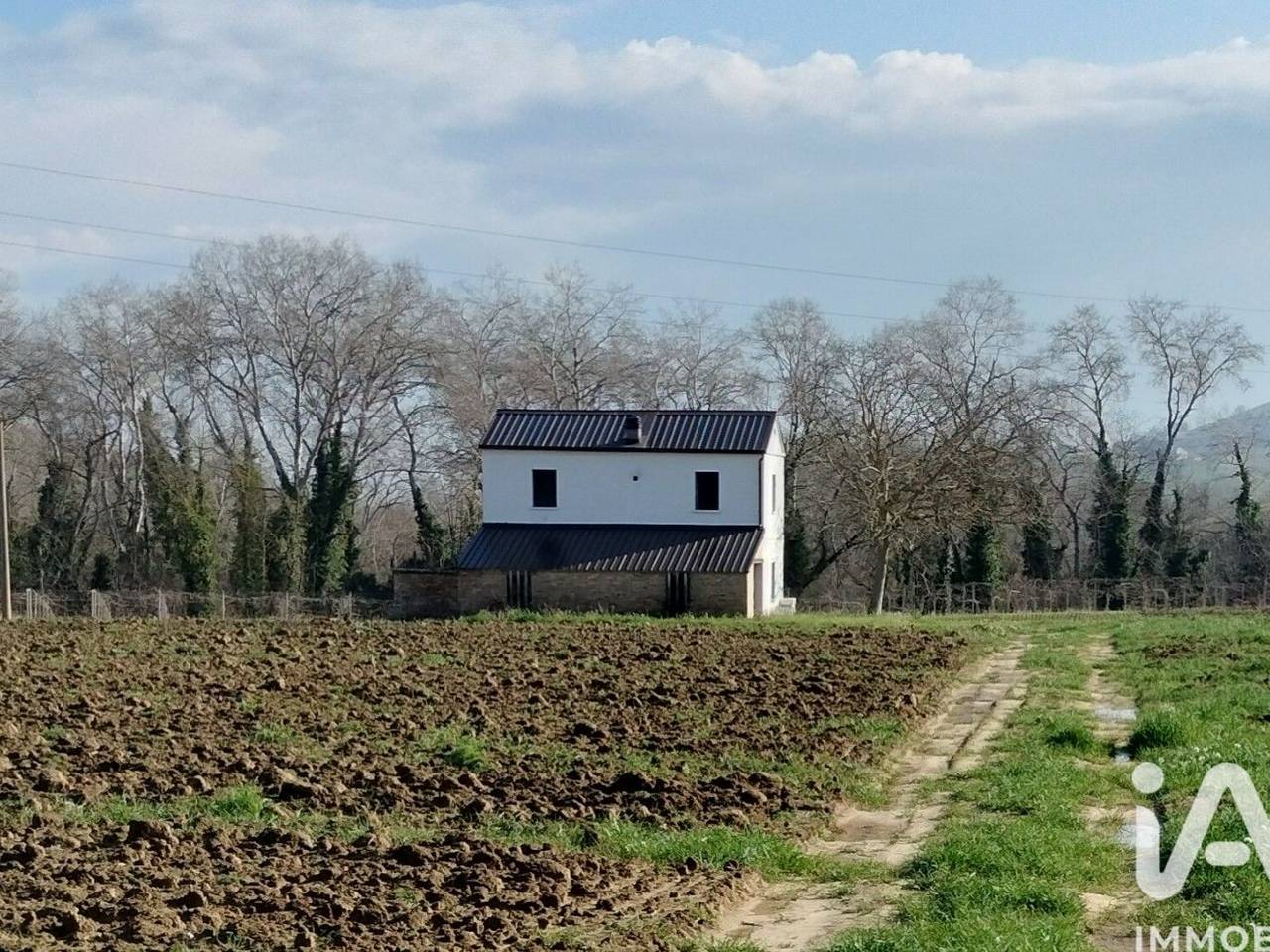 immagine annuncio 9 di 15