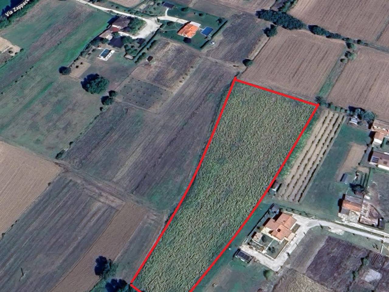 immagine annuncio 1 di 4