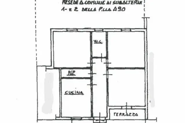 insertion image