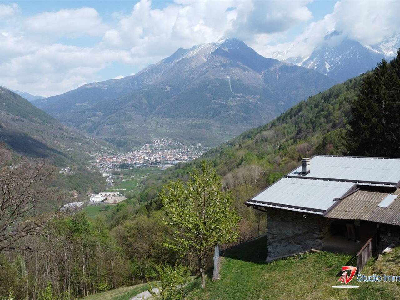 immagine annuncio 11 di 14