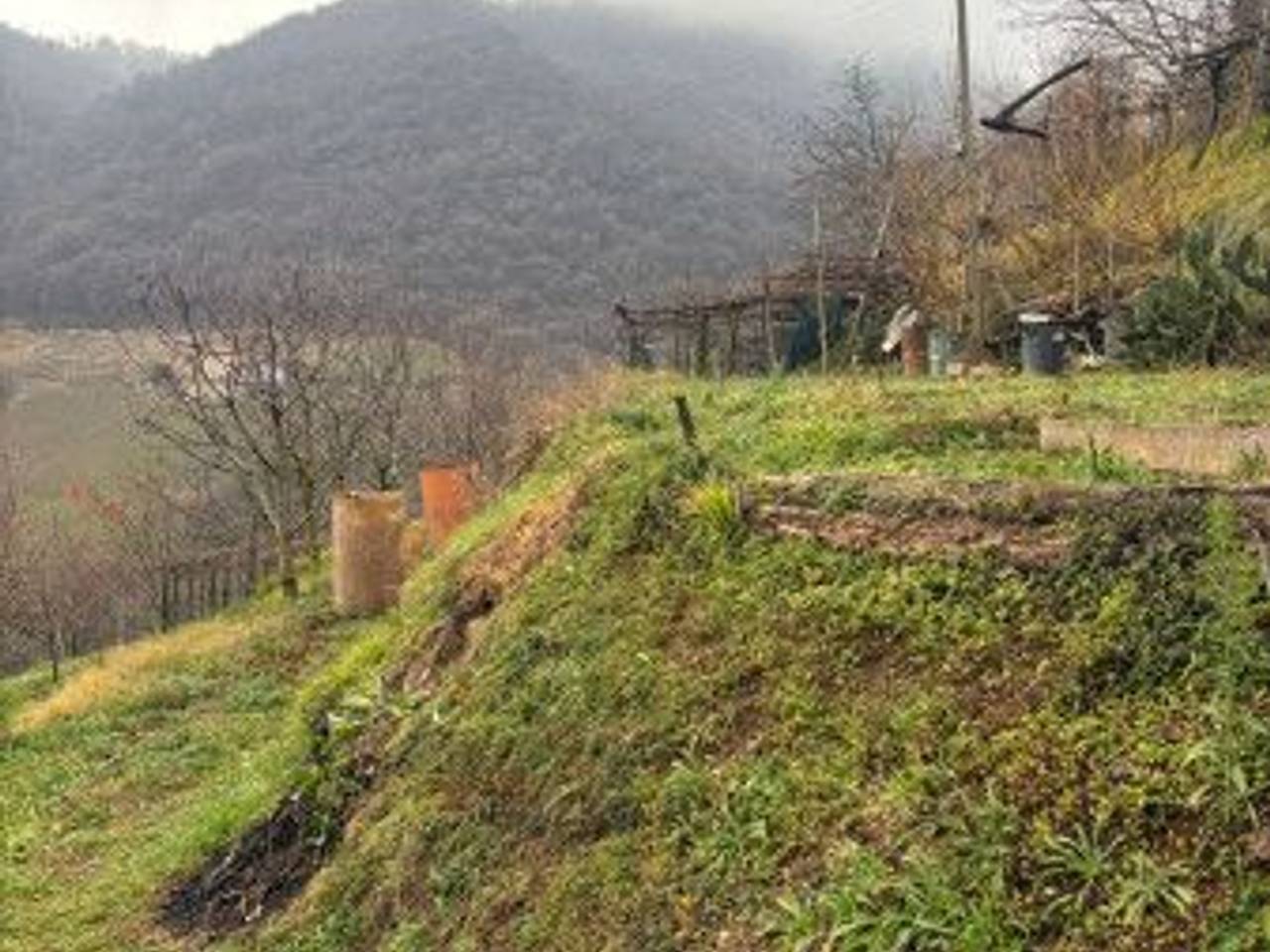 immagine annuncio 5 di 8