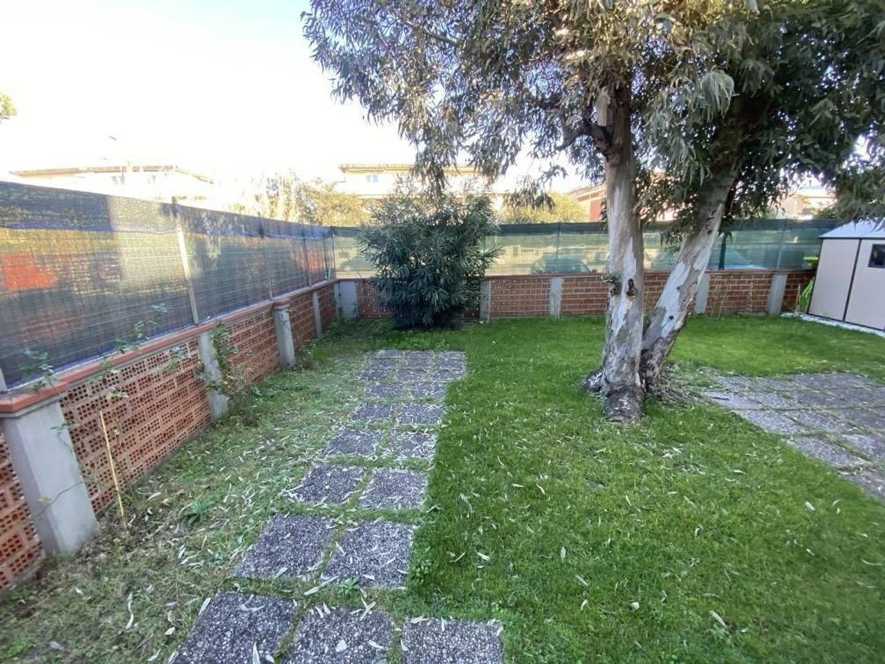 immagine annuncio 1 di 6