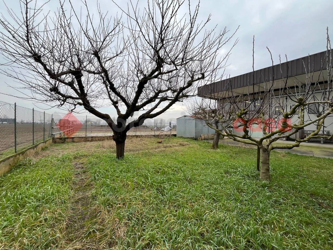 immagine annuncio 10 di 12