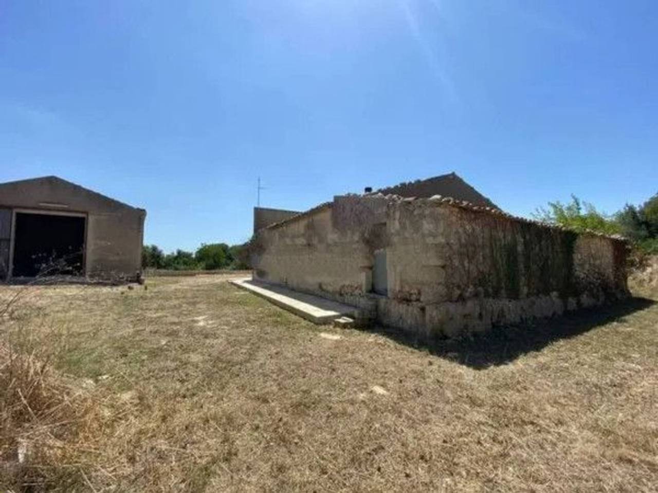 immagine annuncio 10 di 12