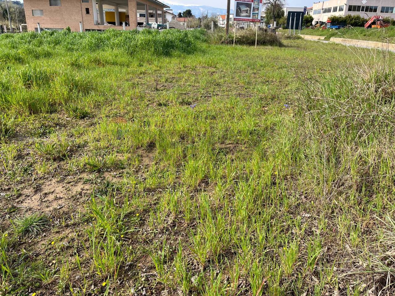 immagine annuncio 5 di 8