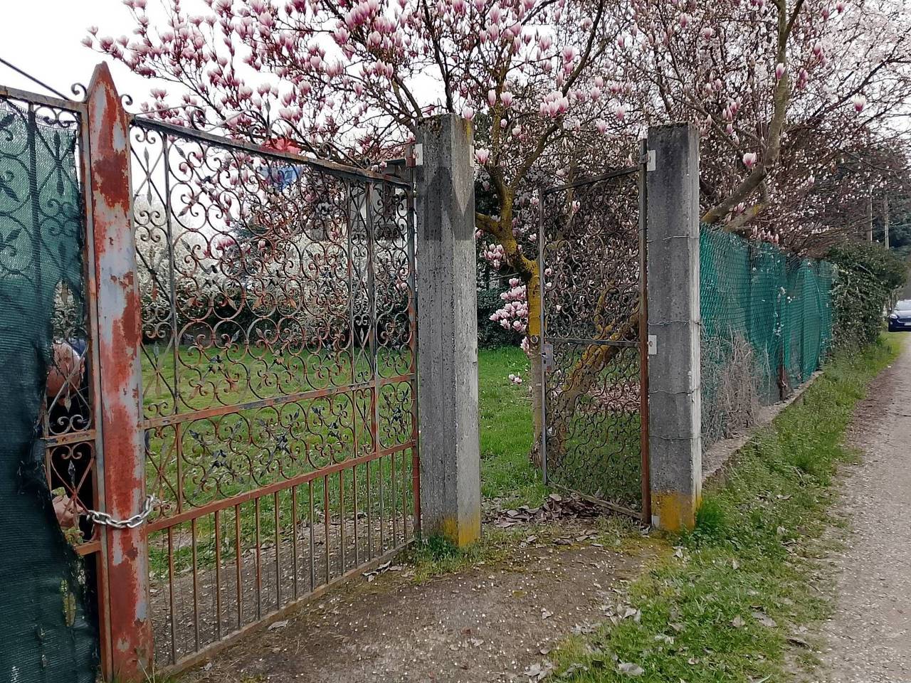 immagine annuncio 7 di 10