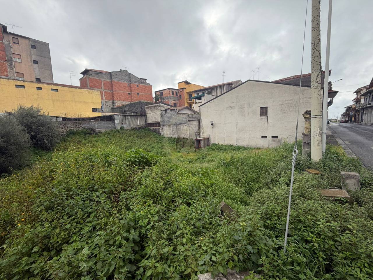 immagine annuncio 3 di 4