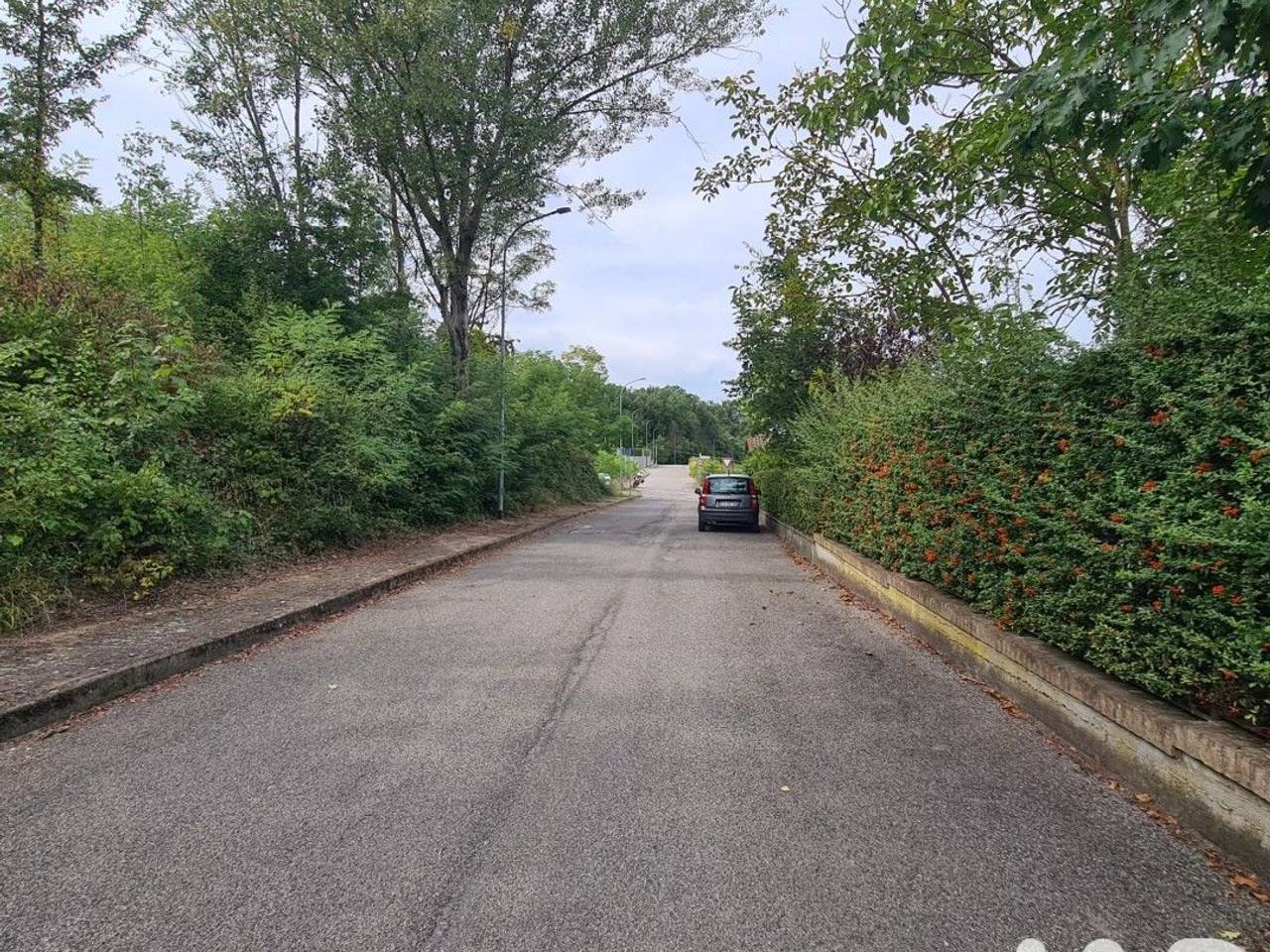 immagine annuncio 5 di 12