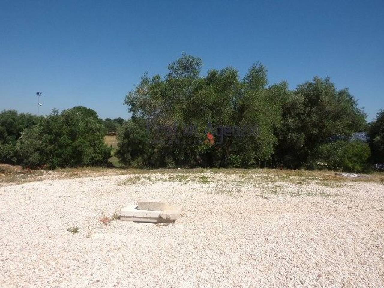 immagine annuncio 12 di 13