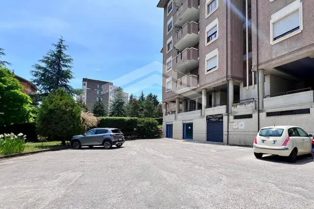 insertion image