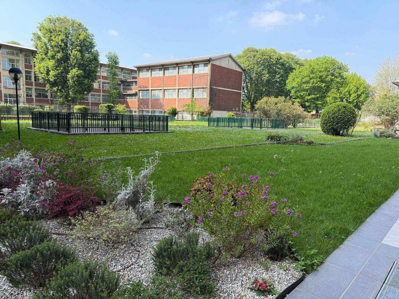 immagine annuncio 7 di 11