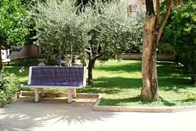 insertion image