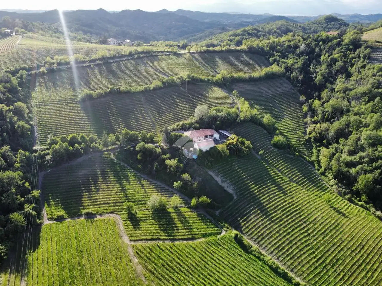 Negozio in Azienda Vitivinicola Via alle Fontane 5, Ponzano Monferrato, {3} - Foto 1
