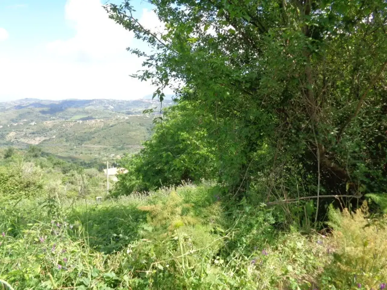 Fabbricato misto in Laureana Cilento, Salerno, Campania, Italia, Laureana Cilento, {3} - Foto 1