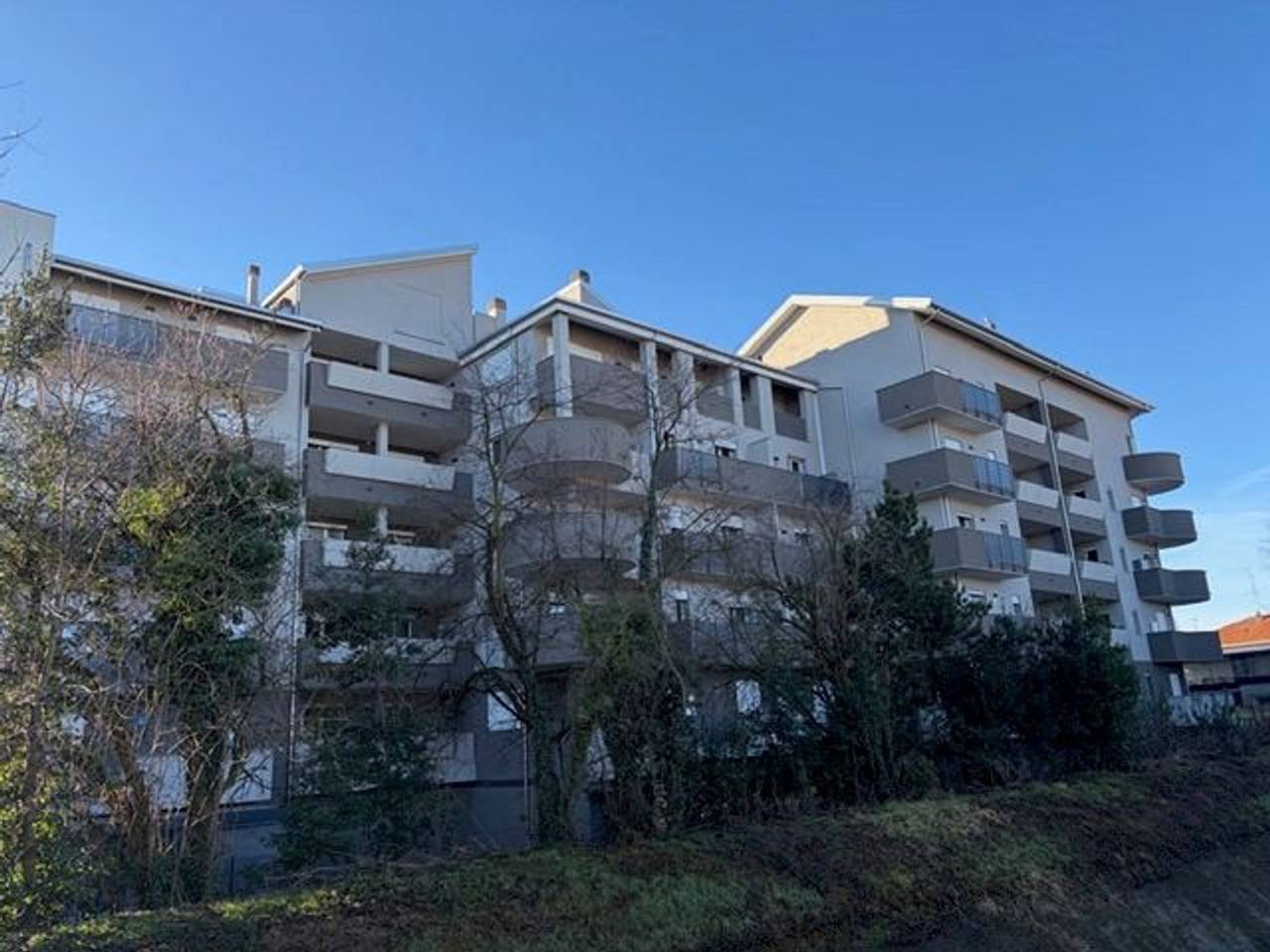 immagine annuncio 4 di 14