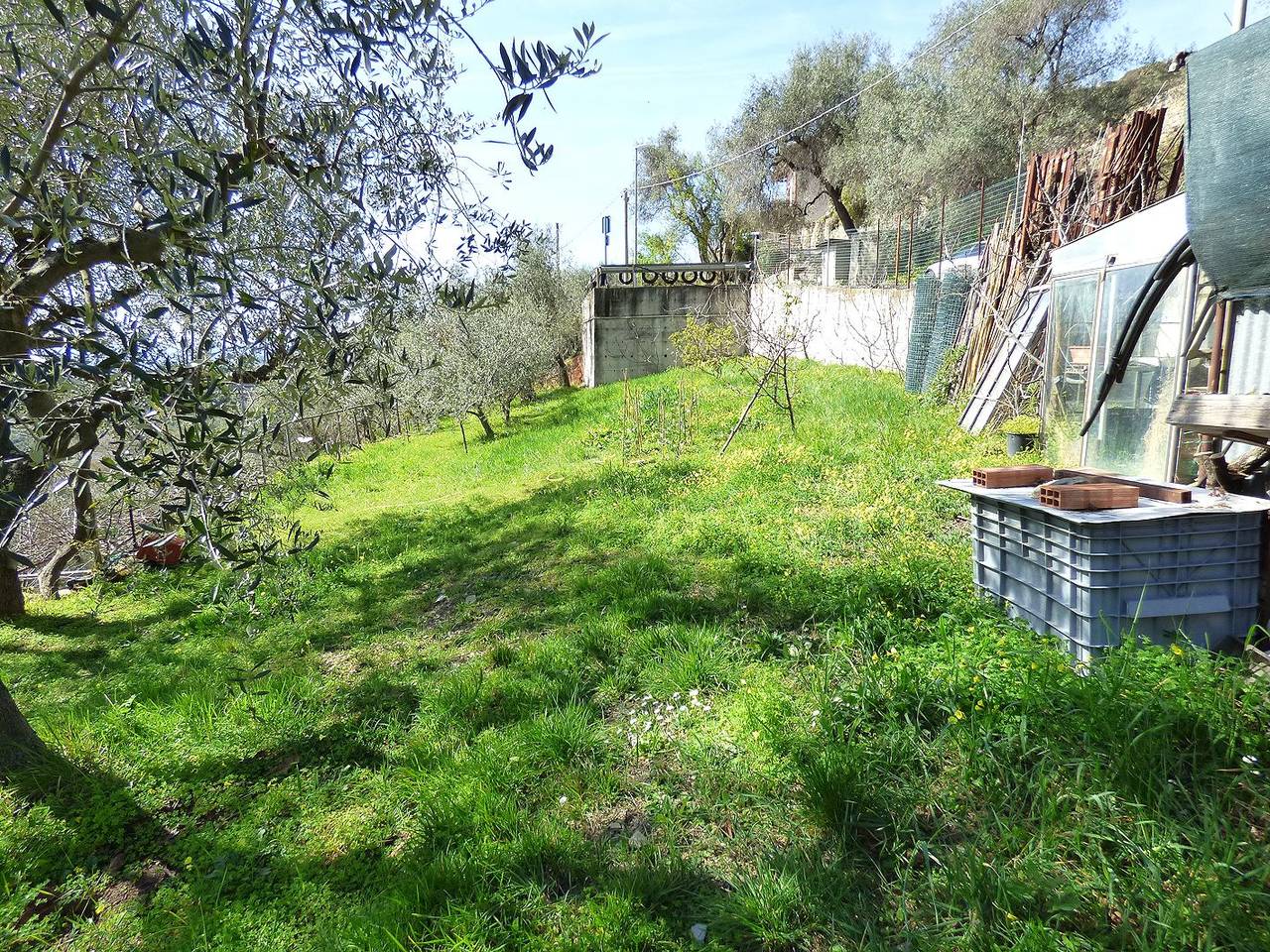 immagine annuncio 6 di 9