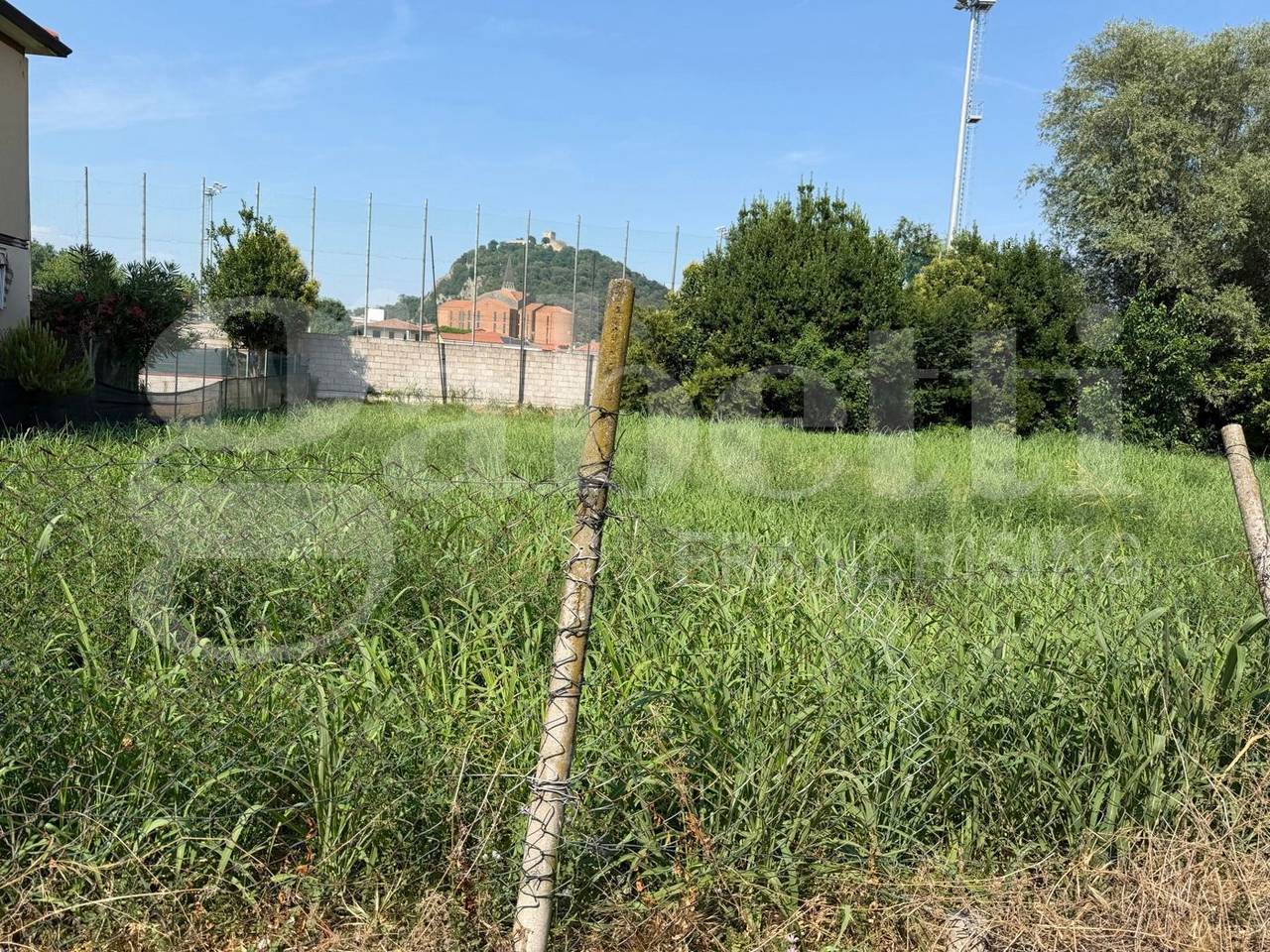 immagine annuncio 4 di 11