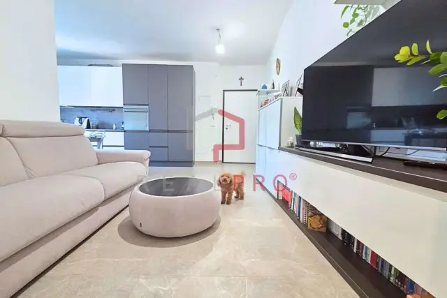 insertion image