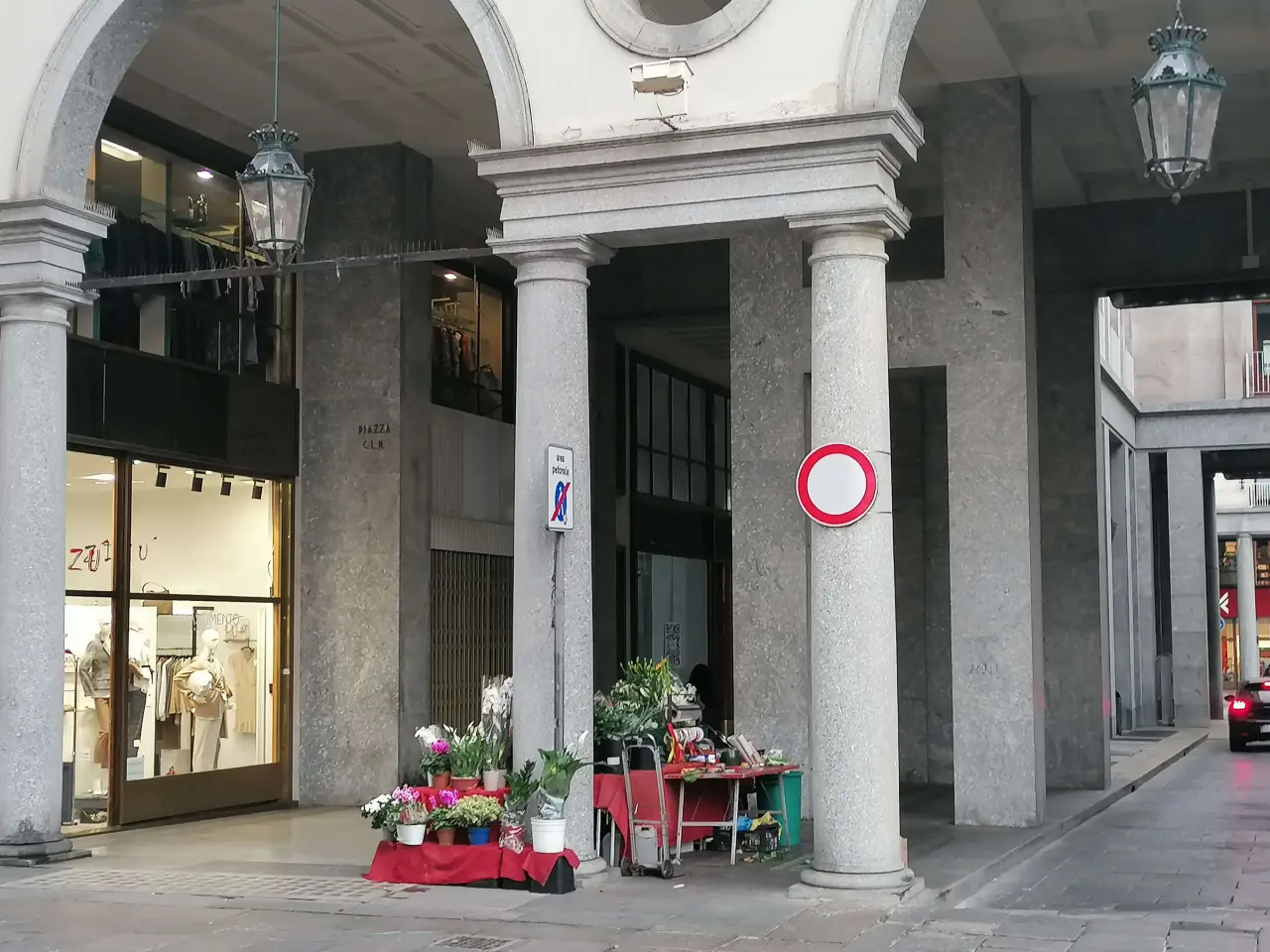 Piante e fiori in Piazza Cln  235, Torino, {3} - Foto 1