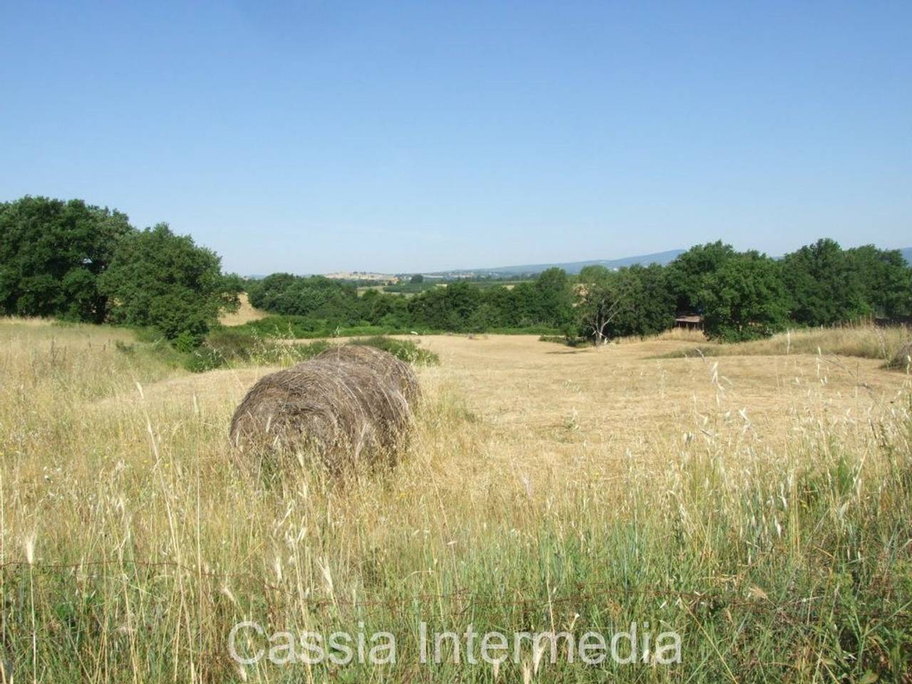 terreno agricolo in vendita a Nepi