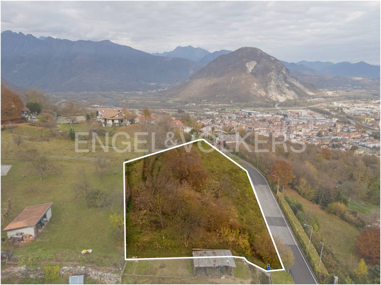 immagine annuncio 13 di 15