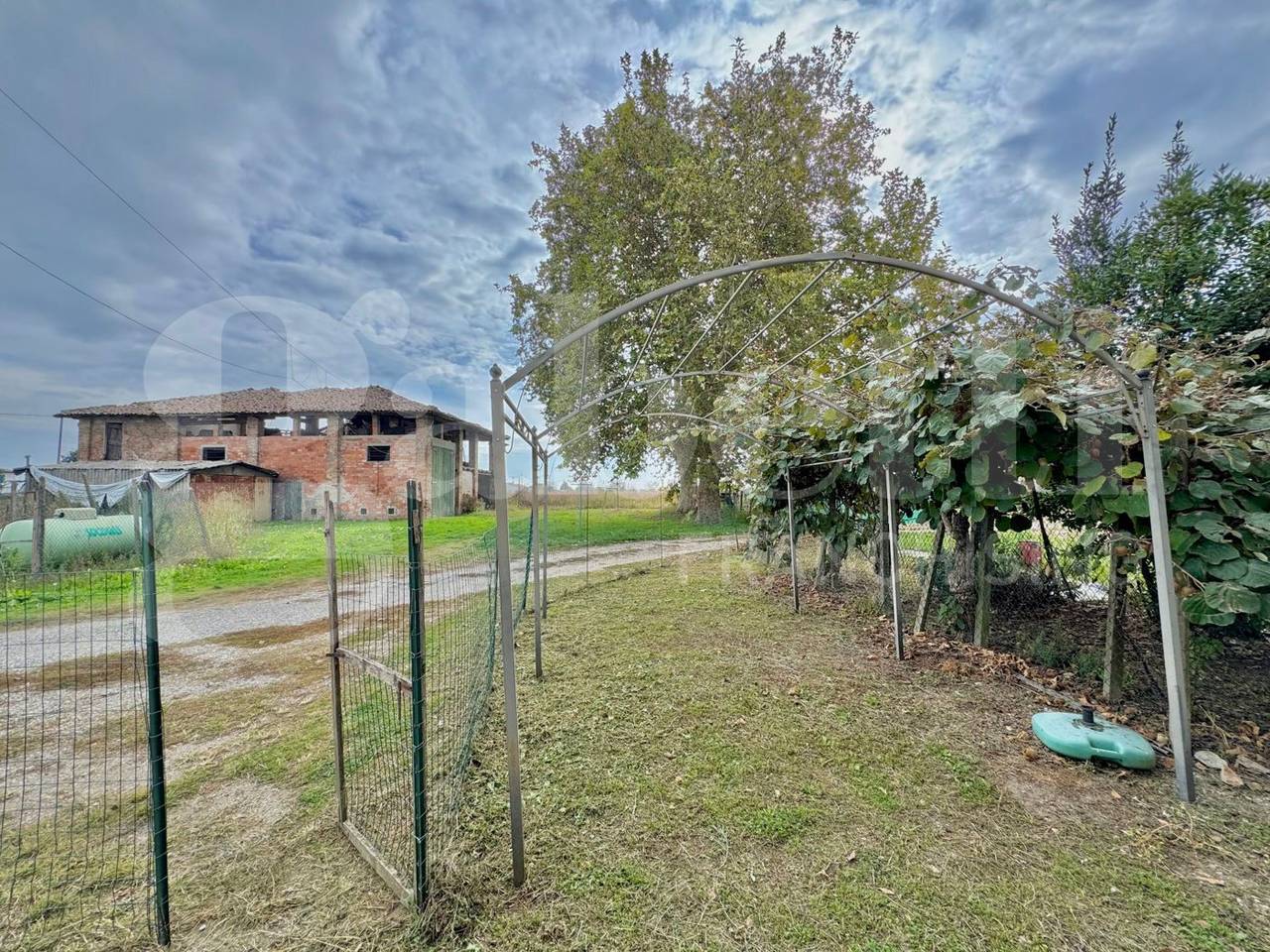 immagine annuncio 3 di 4