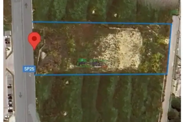 insertion image