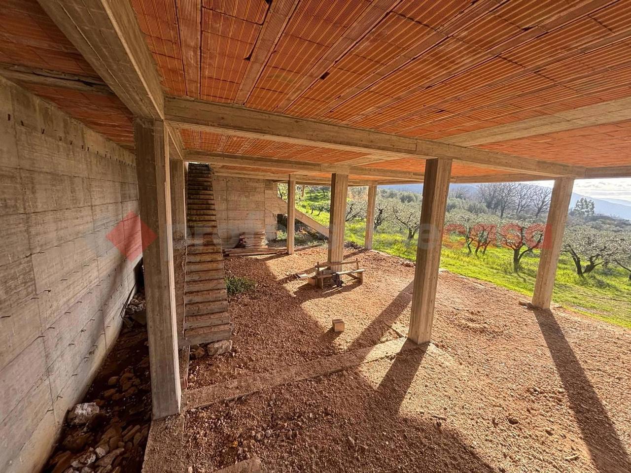 immagine annuncio 12 di 14