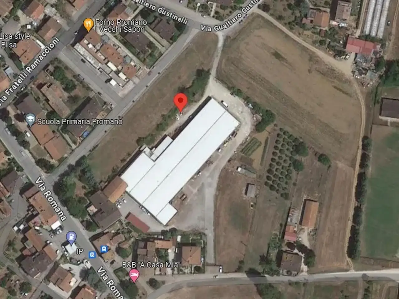 Capannone in Via Romana 36, Citta' Di Castello, {3} - Planimetria 1