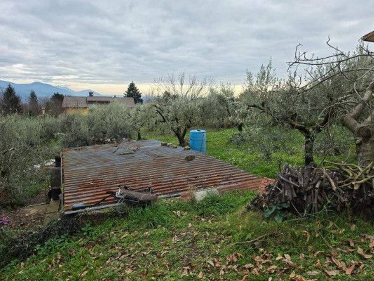 immagine annuncio 2 di 13